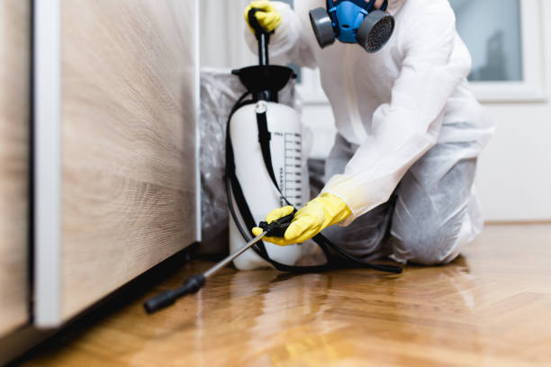 Pest Control Cost in Plandome, NY