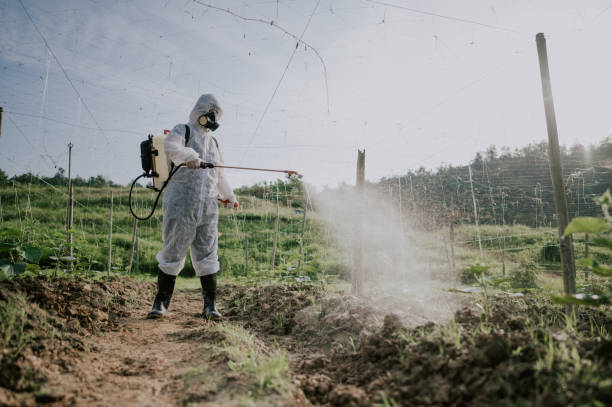 Best Commercial Pest Control Services  in Plandome, NY