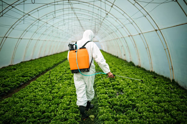 Best Affordable Pest Control Services  in Plandome, NY