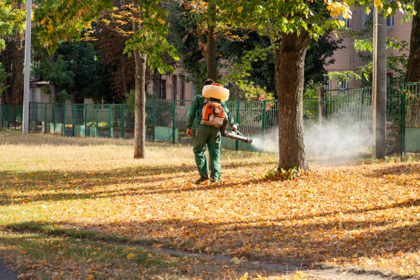 Wasp Removal Services in Plandome, NY