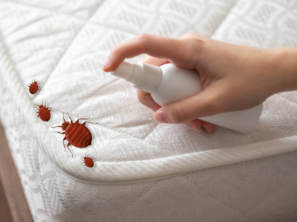 Best Best Pest Control Companies  in Plandome, NY